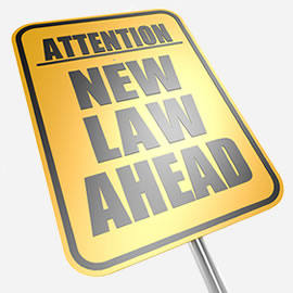 New Laws in Florida
