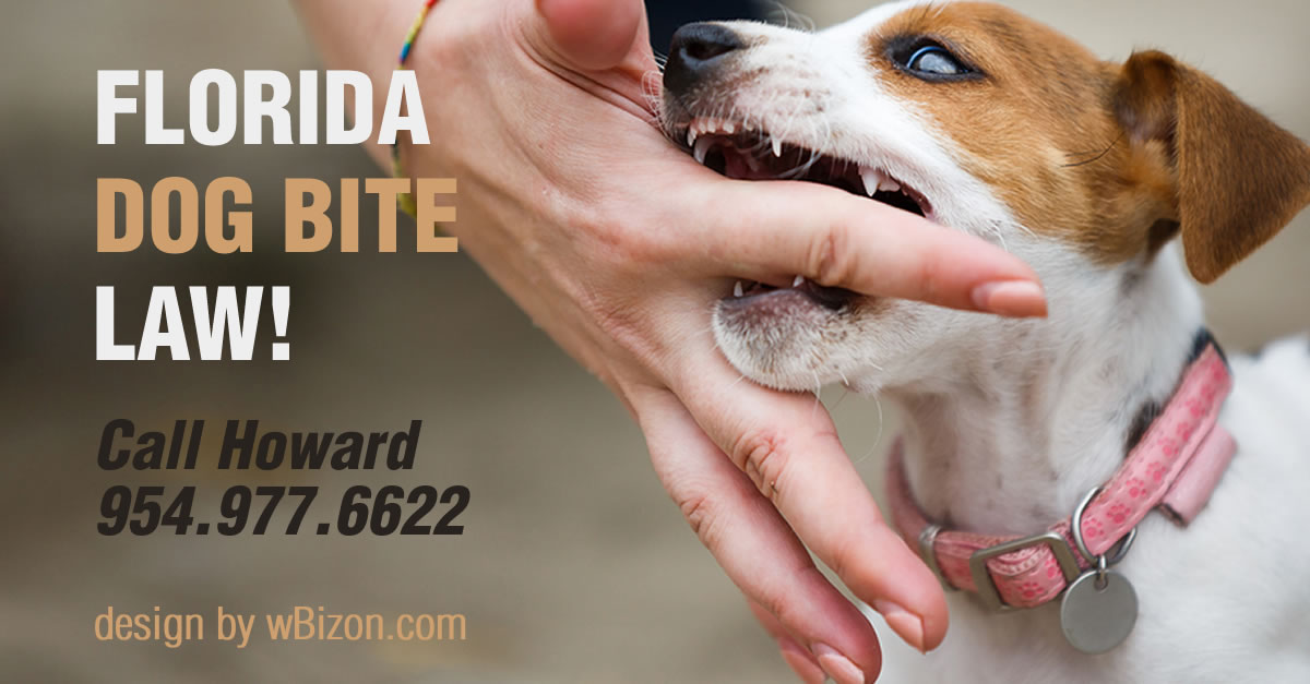 Florida Dog Bite Law 